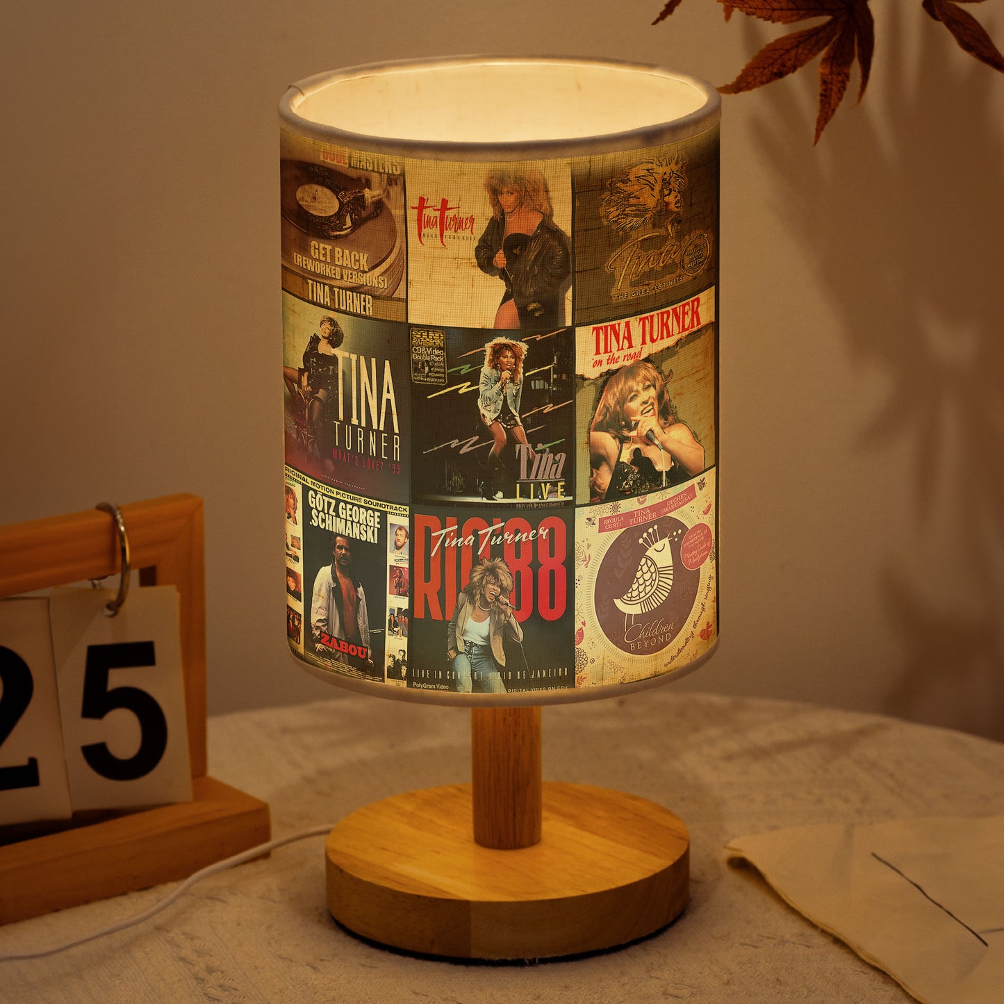 Tina Turner Album Cover Lamp – Handmade Retro Music Lamp for Soul & Rock Lovers
