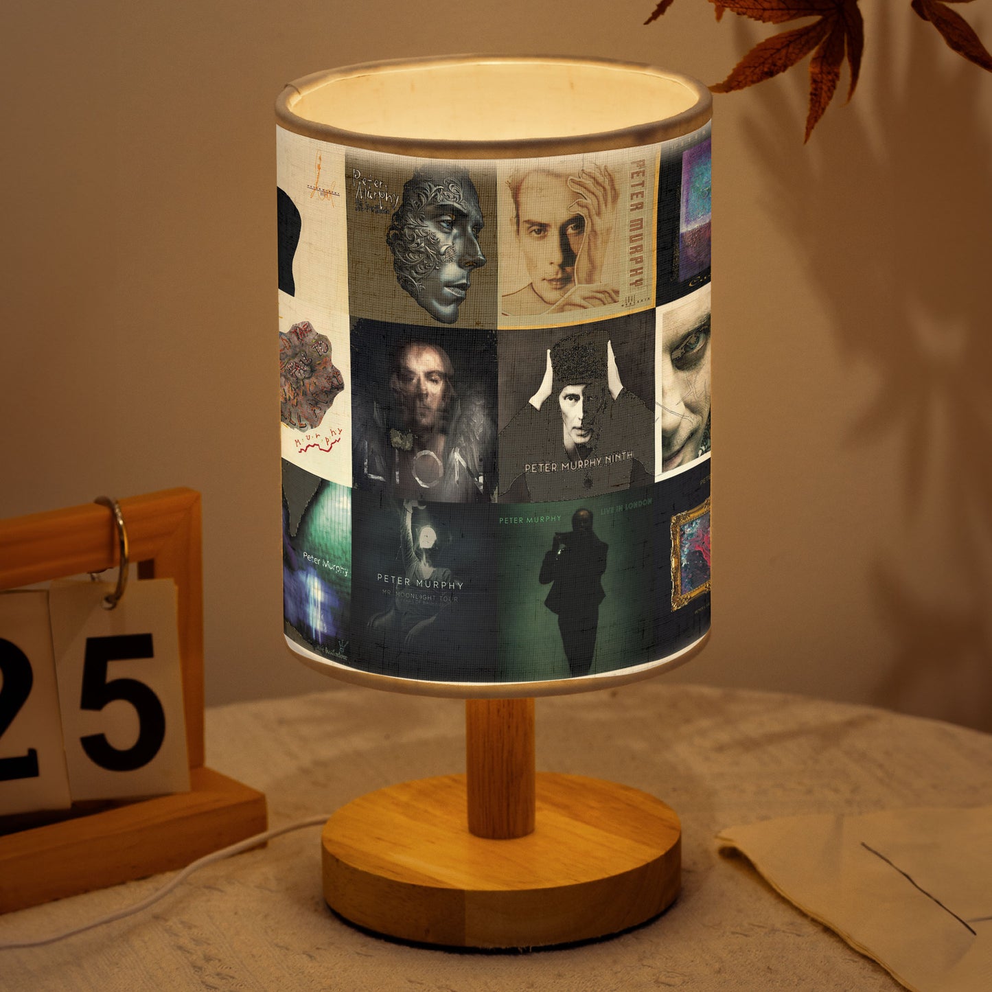 Peter Murphy Album Cover Lamp – Gothic Rock Inspired Home Decor