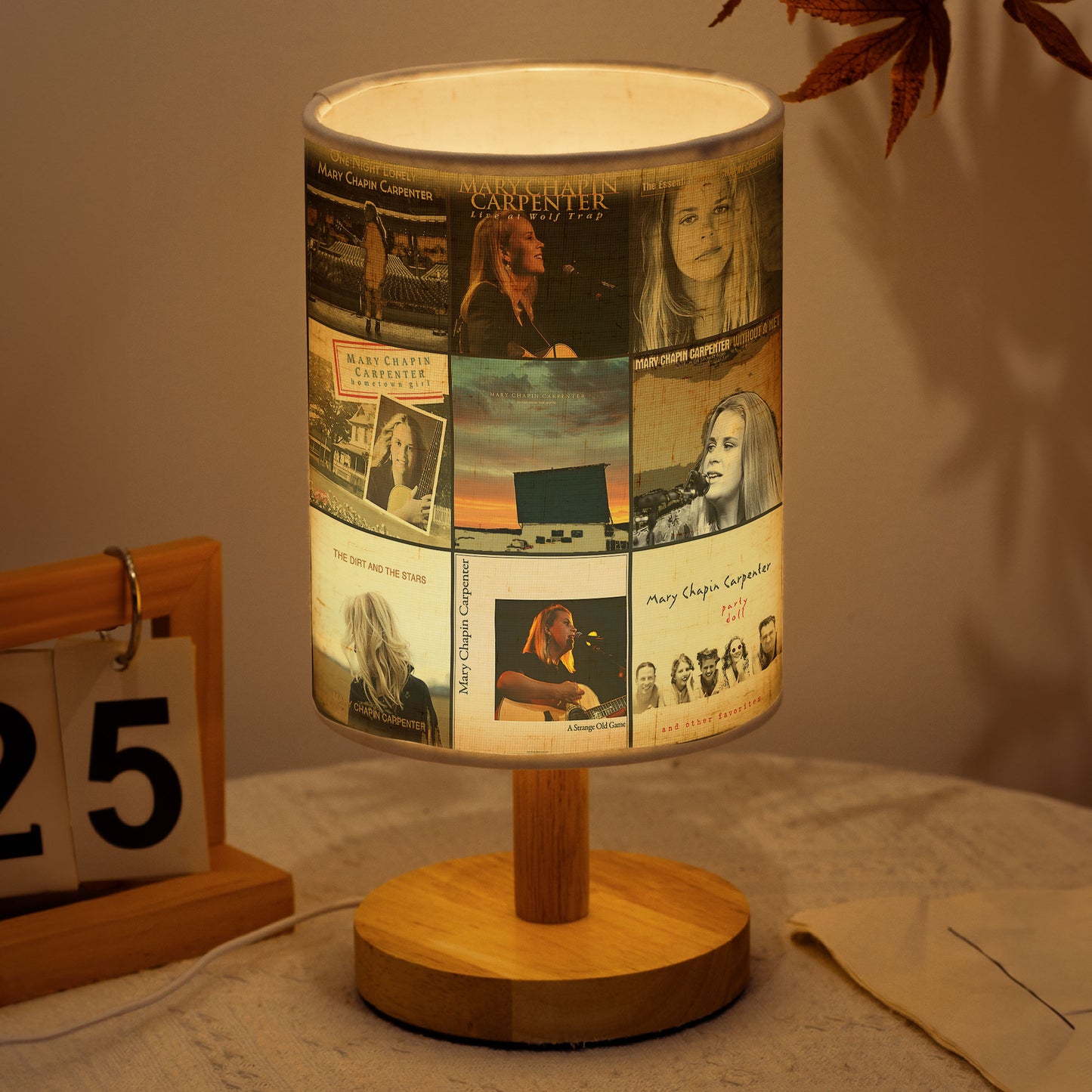 Mary Chapin Carpenter Album Cover Lamp – Country Folk Nostalgia Home Decor